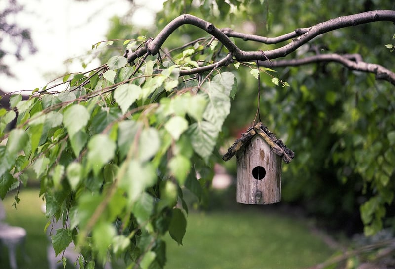Plastic Bottle Bird Feeder